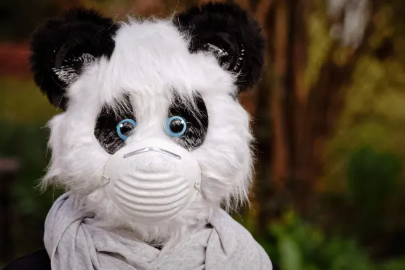 Stay Casino Podrška